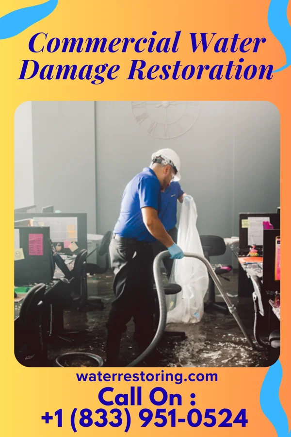 Commercial Water Damage Restoration in Cascade, MT
